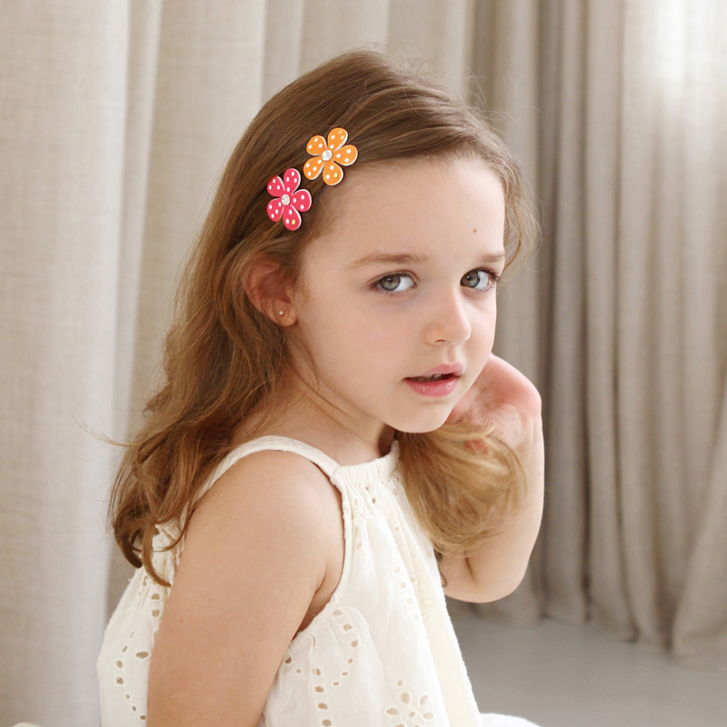 Alexandre de Paris ヘアアクセサリー CACHE-CACHE Alexandre de Paris hair accessories : jaw clips, hair