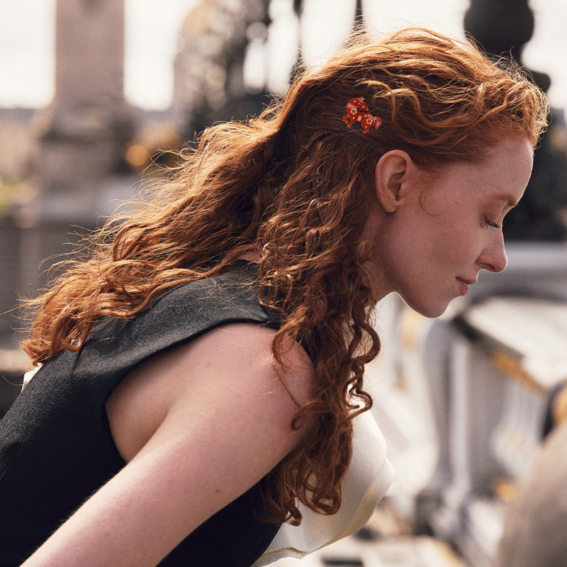 Alexandre de Paris hair accessories : jaw clips, hair barrettes