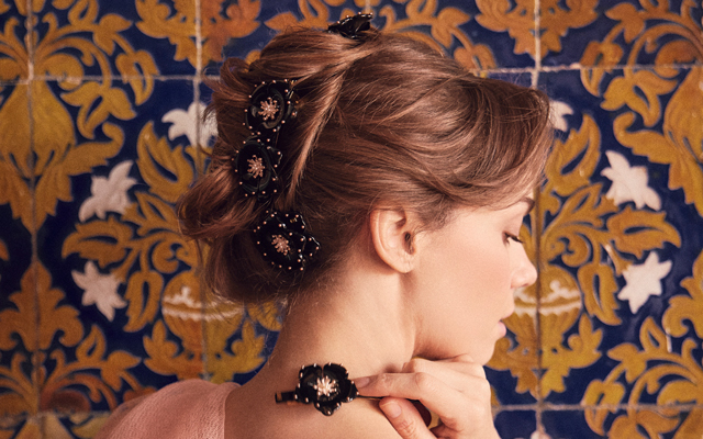 Alexandre de Paris hair accessories : jaw clips, hair barrettes